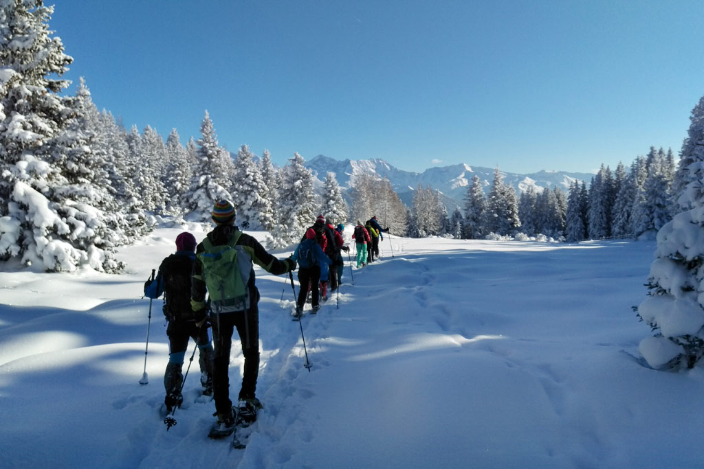 Schneeschuwandern Ski Juwel Alpbachtal Wildschoenau